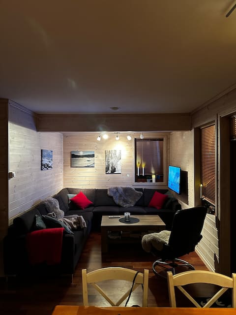 Top performing Airbnb: Apartment centrally located in Bortelid in Åseral
