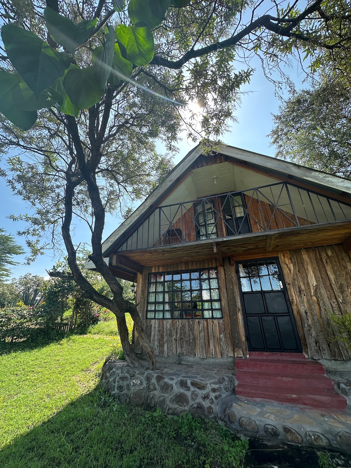 The exterior of a charming lake cabin is depicted, featuring a rustic wooden facade with large windows. A stone pathway leads to the door, framed by greenery and a tree. Sunlight filters through the branches, enhancing the natural setting.