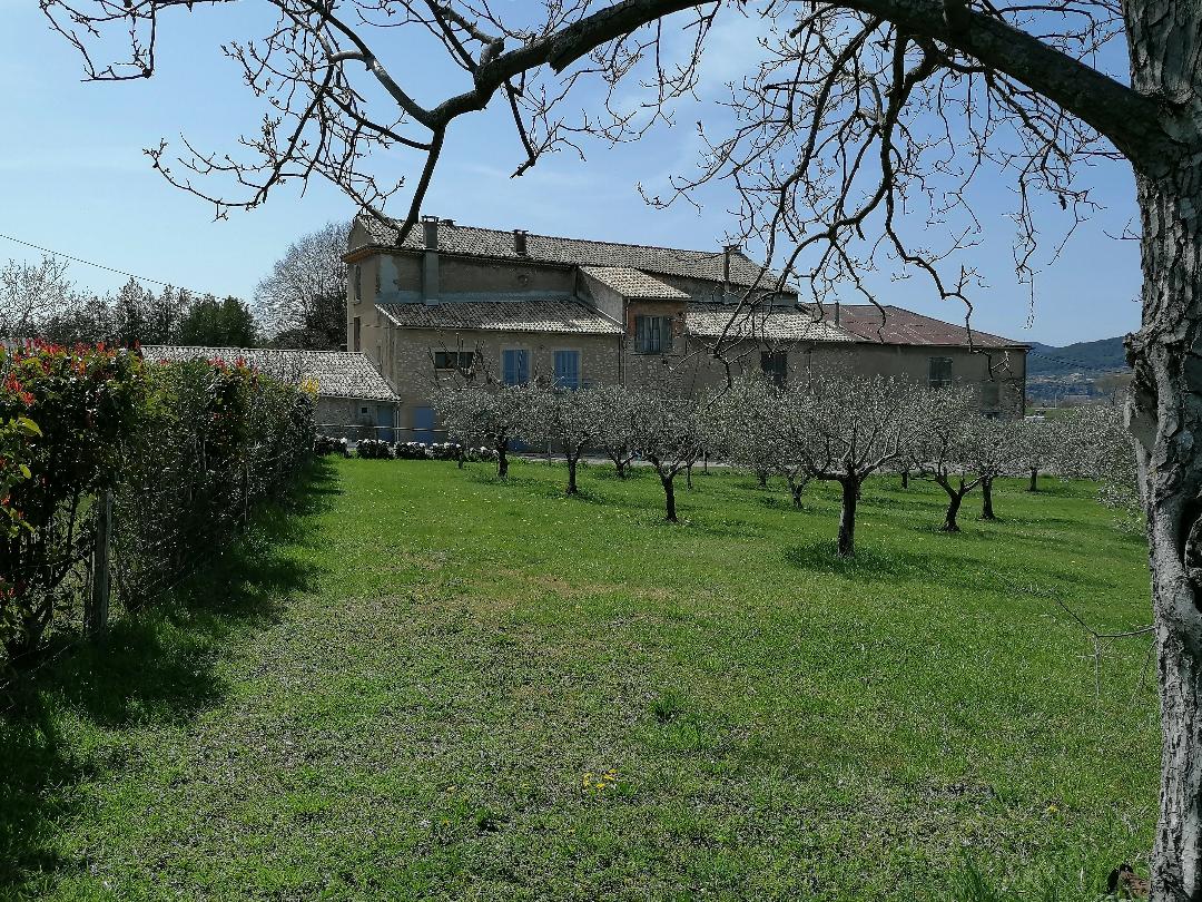 An expansive green lawn surrounds a rustic building, characterized by its traditional architecture. Olive trees are visible in the foreground, while a tree with bare branches adds depth to the scene. The clear sky and bright sunlight contribute to a serene outdoor environment.