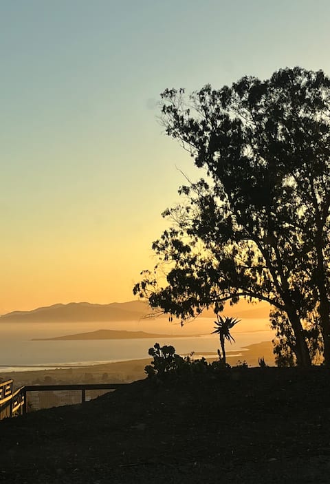 Bay View King Apartment A