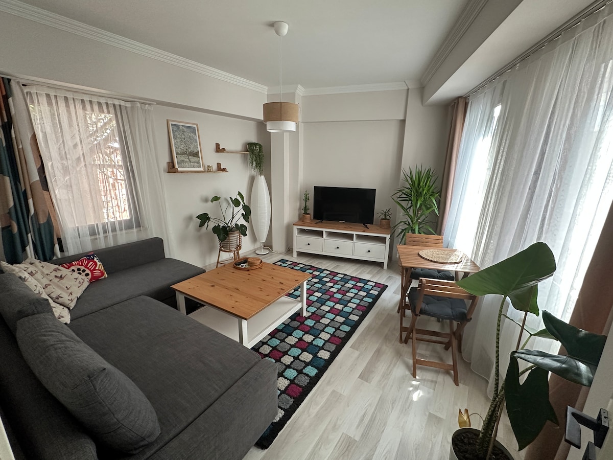 The living area features a comfortable gray sectional sofa adjacent to a wooden coffee table. A patterned area rug adds color to the light hardwood floor. A television is positioned on a white entertainment unit, with greenery and decor enhancing the bright, airy space provided by large windows.