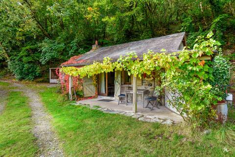 TIN MINE! Historic riverside retreat amazing views
