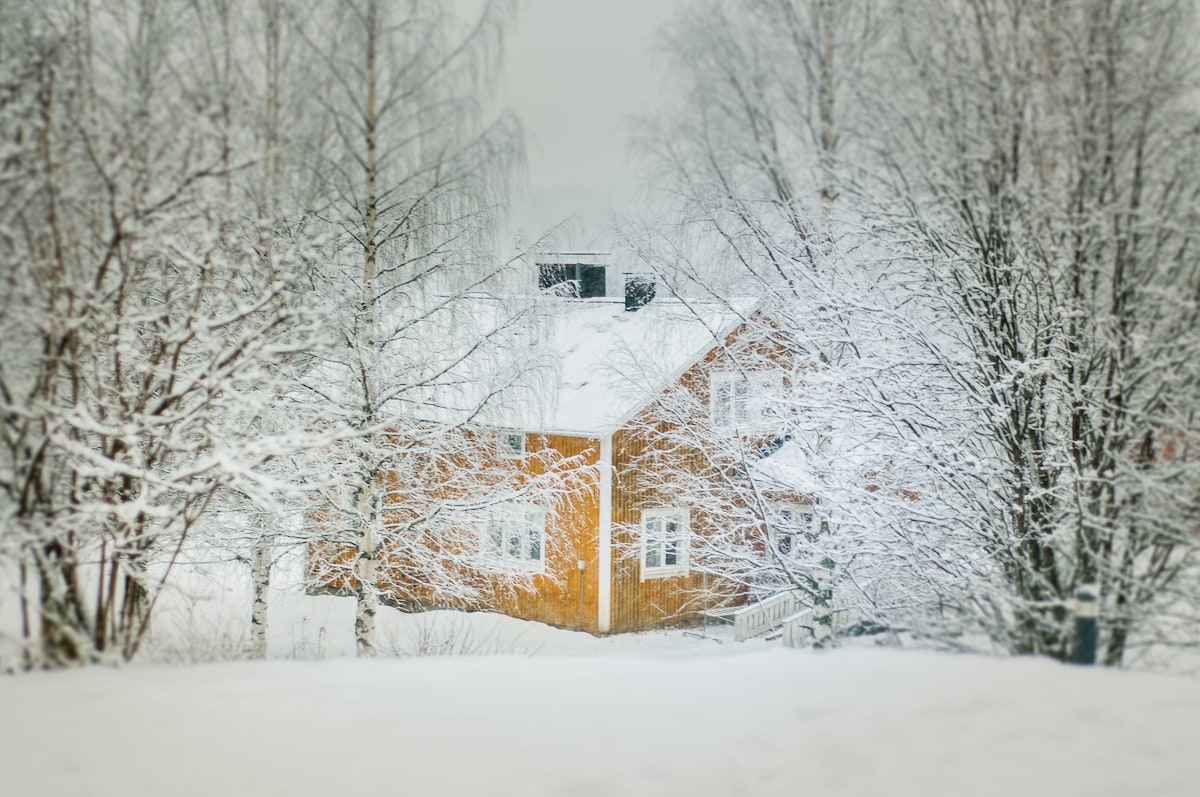 A charming wooden house is nestled among snow-covered trees, creating a serene winter scene. The exterior reveals multiple windows and a sloped roof, accentuated by the surrounding white landscape. Soft light reflects off the snow, enhancing the peaceful atmosphere.