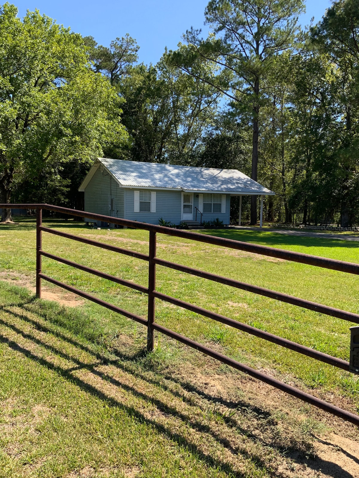 A charming blue cottage is visible behind a sturdy metal fence. The house is surrounded by lush green grass and tall trees. Sunlight brightens the scene, creating a serene and inviting atmosphere in the tranquil outdoor space.