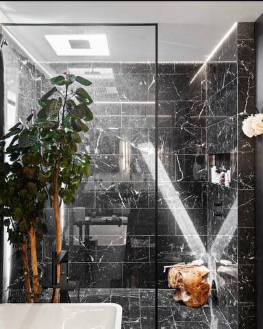 Luxury Modern Downtown House gallery image 3