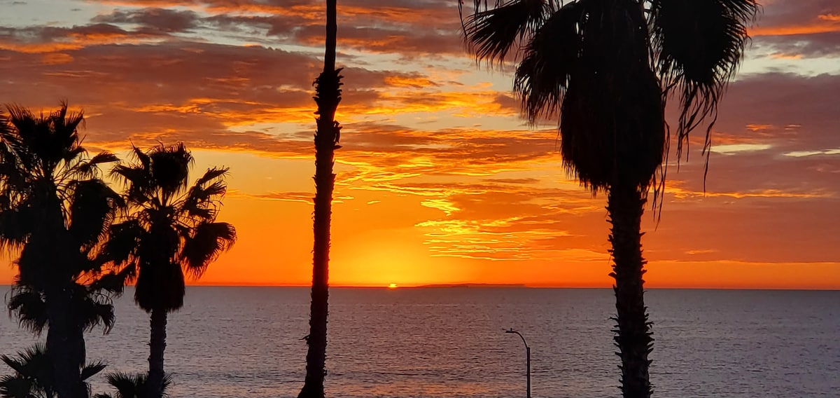 A vibrant sunset paints the sky with hues of orange and yellow, casting a warm glow over the ocean. Silhouettes of palm trees frame the scene, enhancing the coastal atmosphere. The calm water reflects the colors of the sky, inviting tranquility.