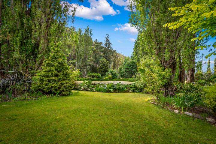 Magical Lucindale – Gorgeous 4 Bedroom House gallery image 5