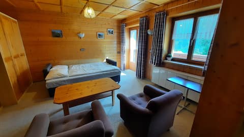Successful Airbnb property: Montafon Valley Apartments in St. Gallenkirch