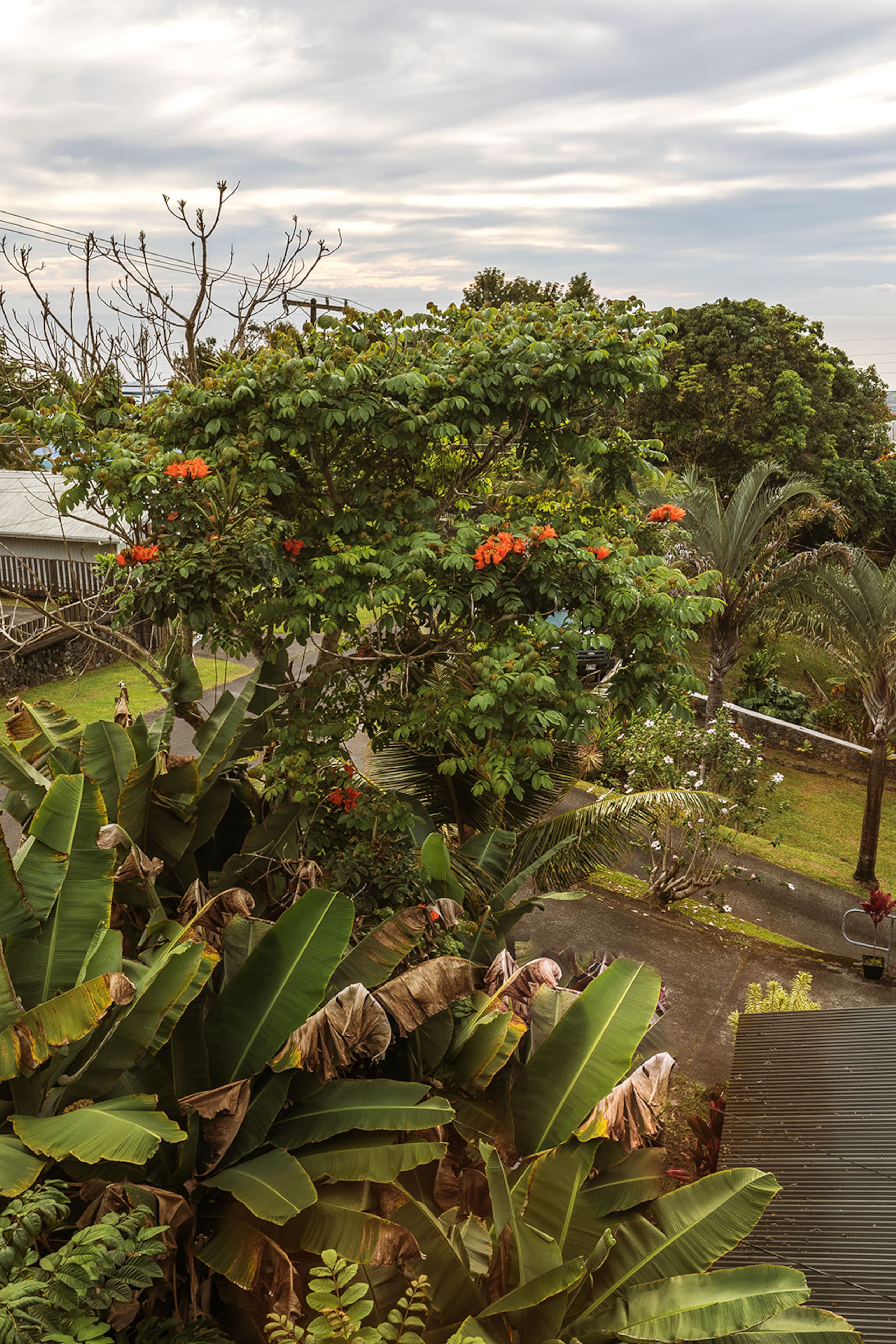 Lihau Boho House - Photo 98