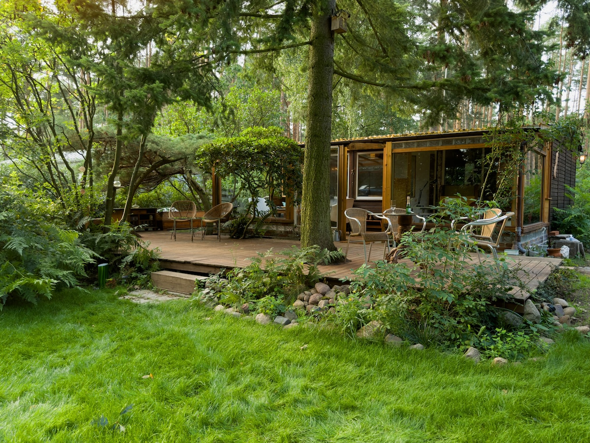 A spacious wooden terrace is surrounded by lush greenery, featuring several outdoor seating arrangements. The terrace offers a view of the cozy exterior room, surrounded by trees and landscaping that provides a natural and serene environment.