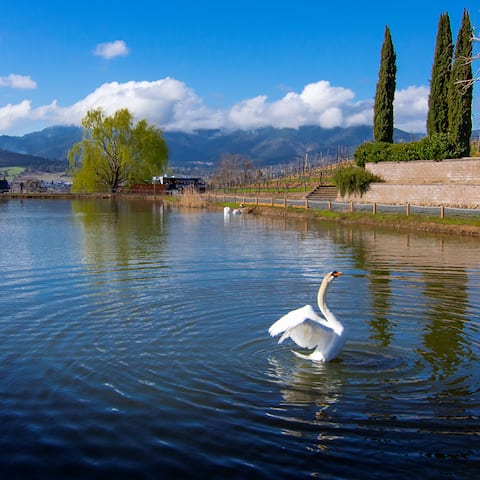 Paschal Winery – Paschal Compound