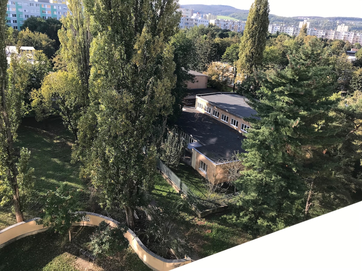 Aerial view showcases a lush, green landscape surrounding a low-profile building. Mature trees create a natural border, and the expansive greenery suggests a peaceful outdoor space. The building features a dark roof and large windows, blending into the tranquil setting.