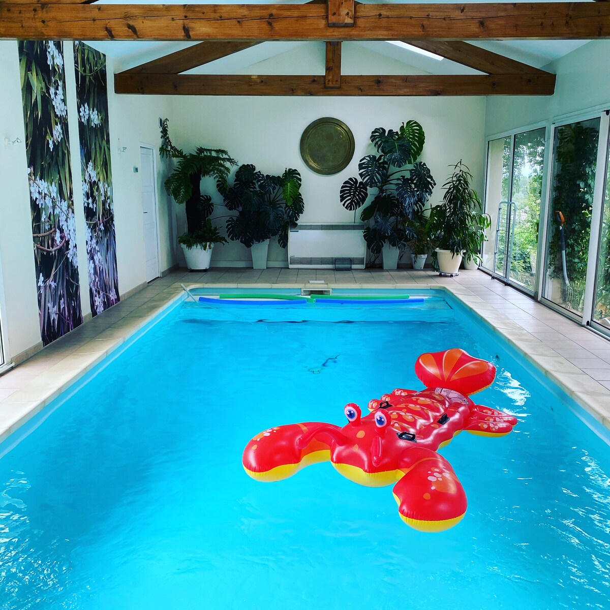 An indoor swimming pool spans the center of the room, surrounded by large windows that invite natural light. Lush greenery decorates the space, and a colorful lobster float rests on the surface of the bright blue water under a wooden beam ceiling.