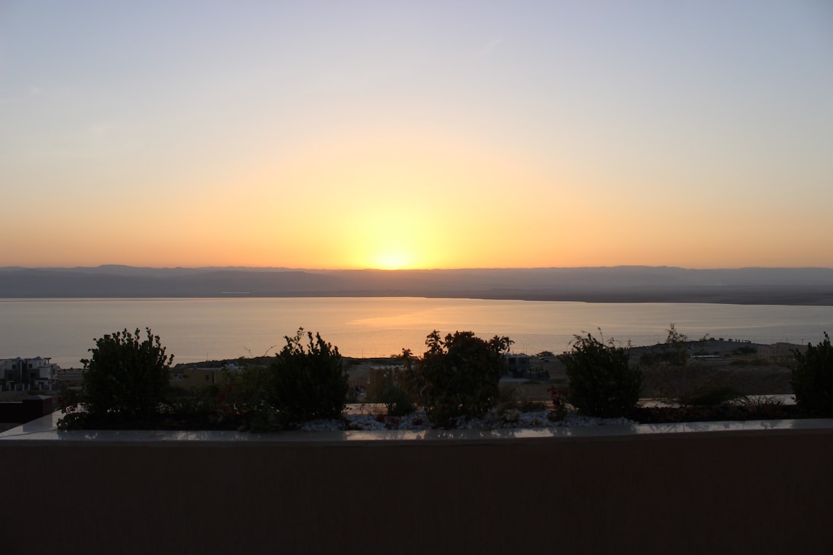 A serene sunset view is captured over the Dead Sea, showcasing warm orange and yellow hues blending into the horizon. Silhouettes of low greenery frame the scene, enhancing the natural beauty of the expansive water reflections below.
