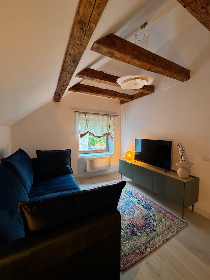 Charming Attic In Sibiu - Sibiu