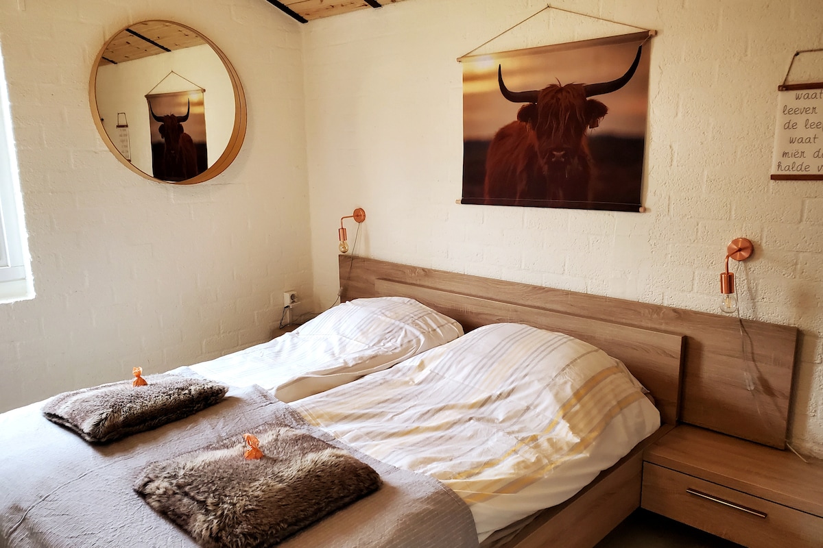 مراتب جيدة، لحاف من أربعة مواسم وسرير مصنوع بأغطية جديدة. غرفة النوم مريحة ومريحة!