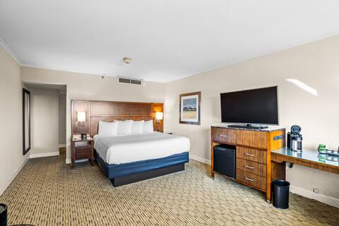 Chic King Suite in the Heart of Downtown Milwaukee