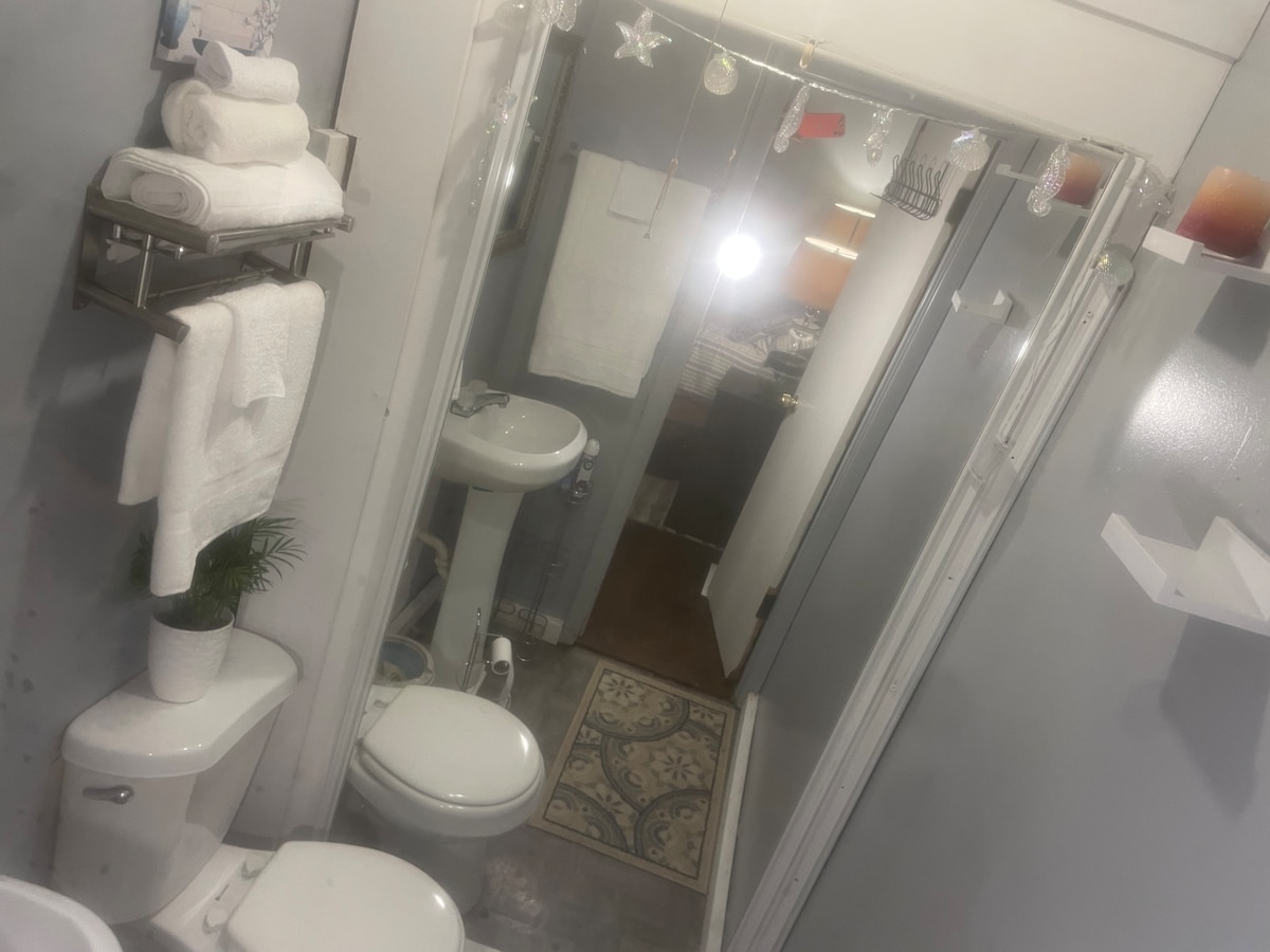 A compact bathroom is displayed, featuring modern fixtures and soft lighting. White towels are neatly arranged on a chrome rack, while a small plant adds a touch of greenery. A patterned rug is positioned in front of a sleek toilet, enhancing the overall aesthetic.
