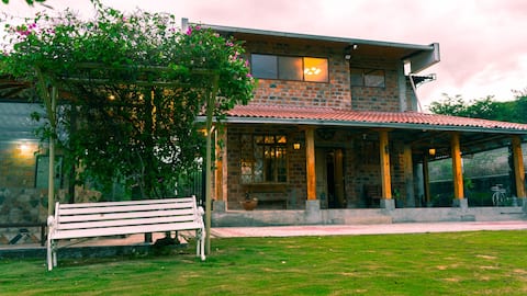 Dream House