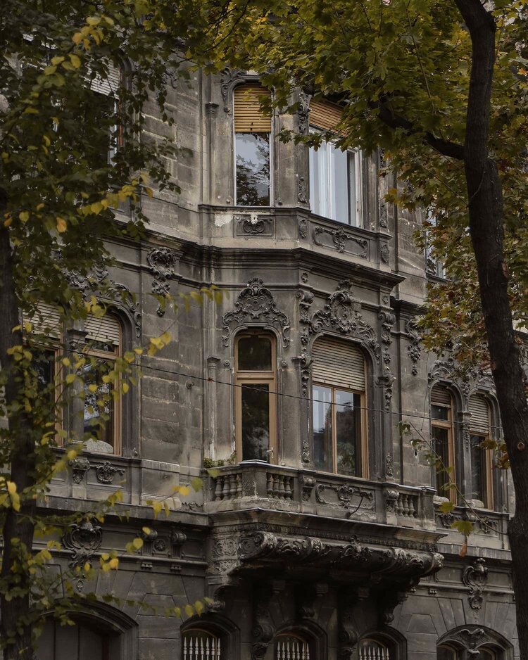 An ornate facade of a classic building features intricate stone carvings and decorative elements. Tall windows with wooden shutters provide glimpses of interior light, while leafy branches frame the exterior, enhancing the architectural details.