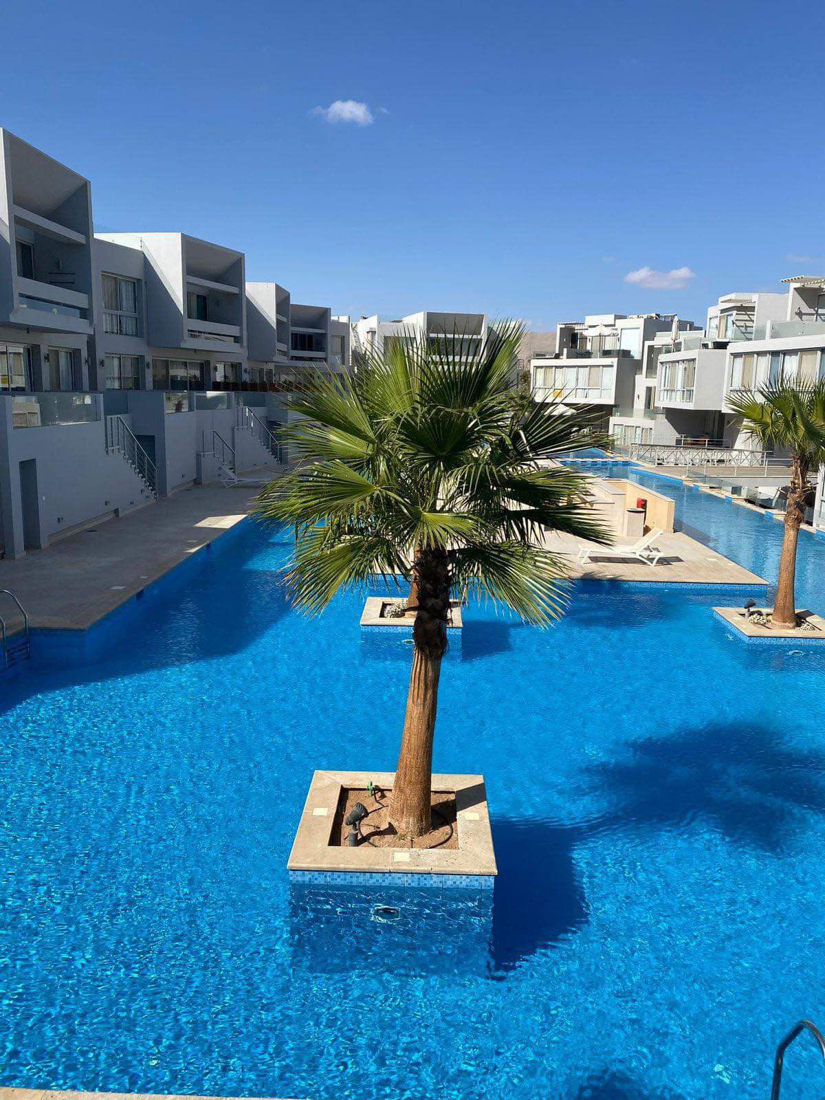 A serene pool area is highlighted by clear blue water and features palm trees in the center of square planters. Surrounding buildings are modern and designed with clean lines, enhancing the tranquil atmosphere of the compound.