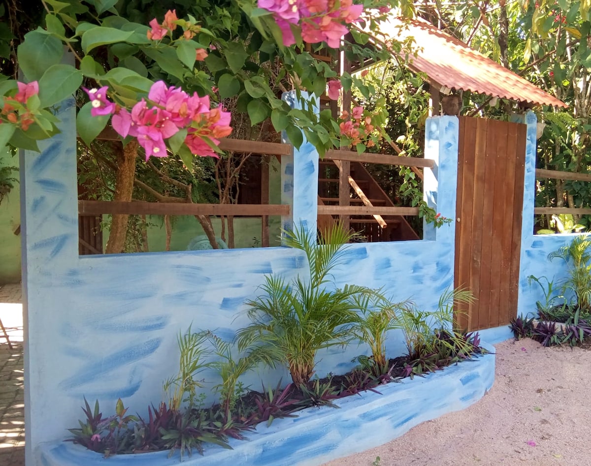 A garden area features a light blue wall adorned with vibrant pink bougainvillea flowers. A wooden gate sets the entry point, while lush plants and dark foliage are arranged along the base, contributing to a fresh and inviting outdoor space.