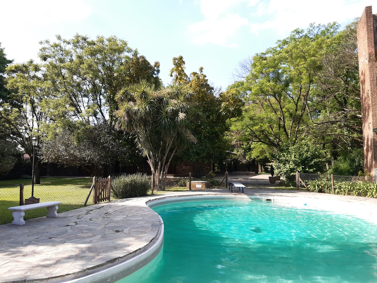 A clear pool is surrounded by lush greenery, including various trees and shrubs. Stone seating is positioned nearby, providing a place to relax. Sunlight reflects off the water's surface, creating a serene atmosphere in the expansive outdoor space.