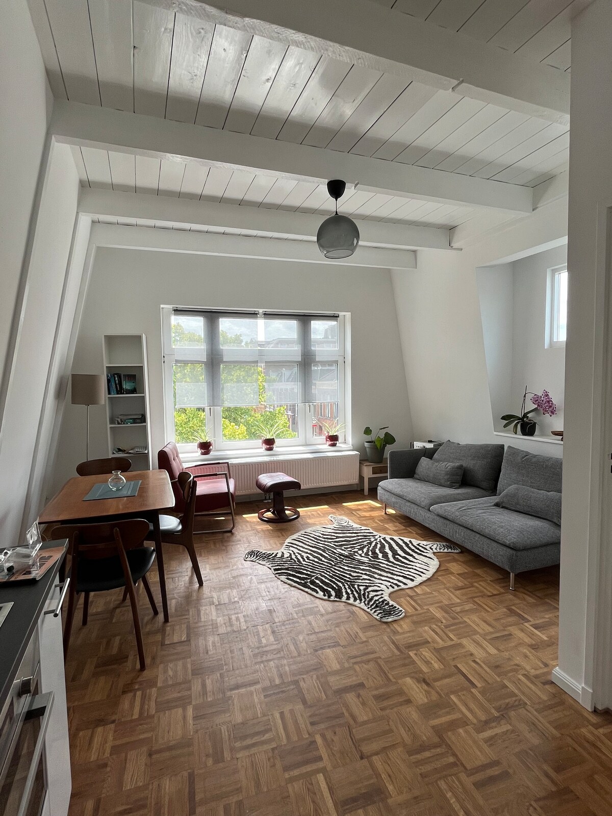 The bright living area features a large window that floods the space with natural light. A gray sofa is positioned next to a modern dining table accompanied by chairs. A zebra-print rug adds texture to the wooden floor, while potted plants provide a touch of greenery.