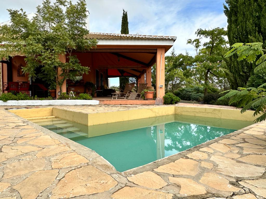 A serene outdoor area is highlighted by a small rectangular pool, with clear water reflecting the sky. Surrounding vegetation includes trees and shrubs, adding a natural touch. The rustic stone patio is visible, leading to a shaded seating area under a roof.