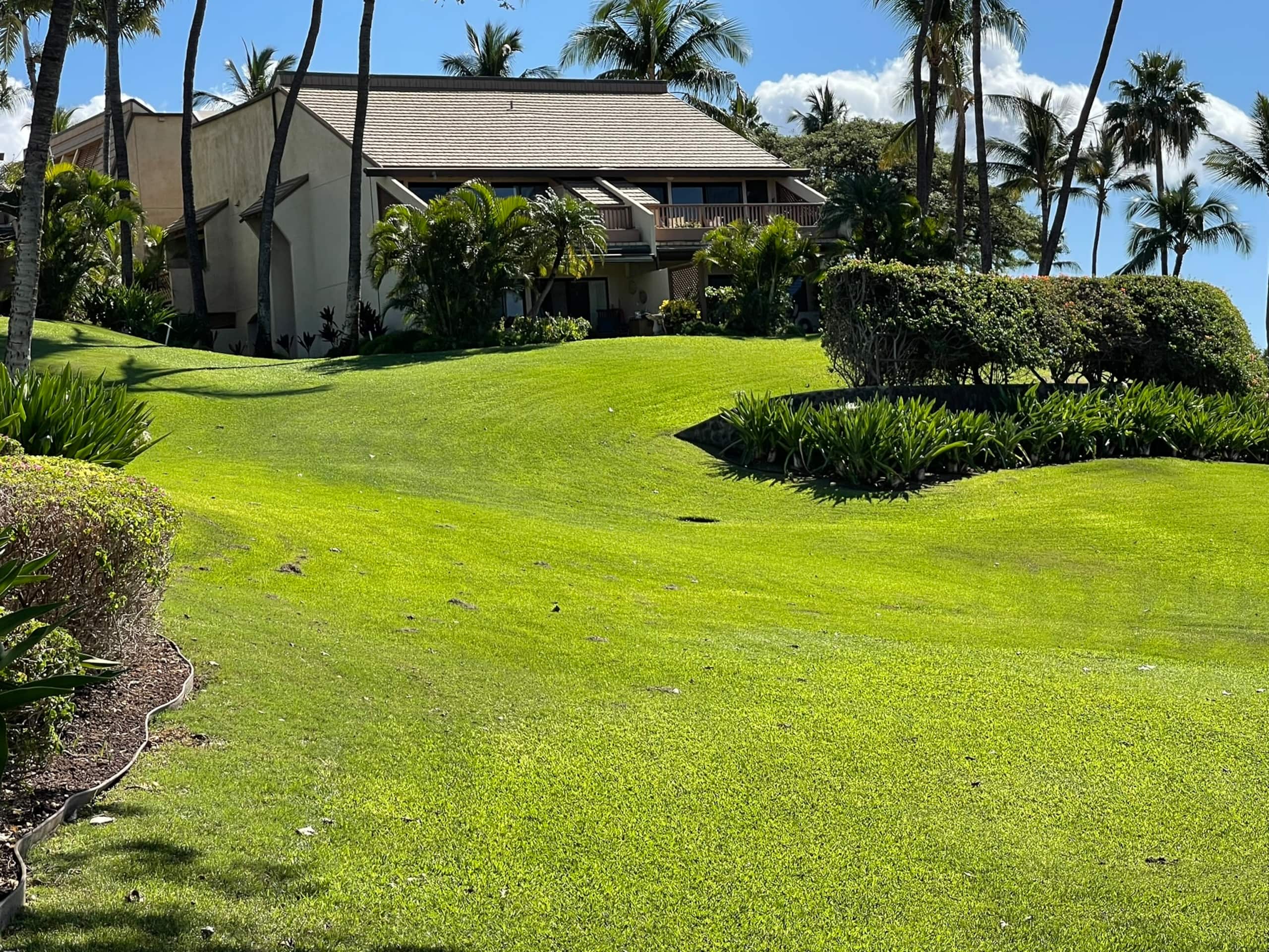 Condo in Kihei · ★5.0 · 1 bedroom · 2 beds · 2 baths - Image 54