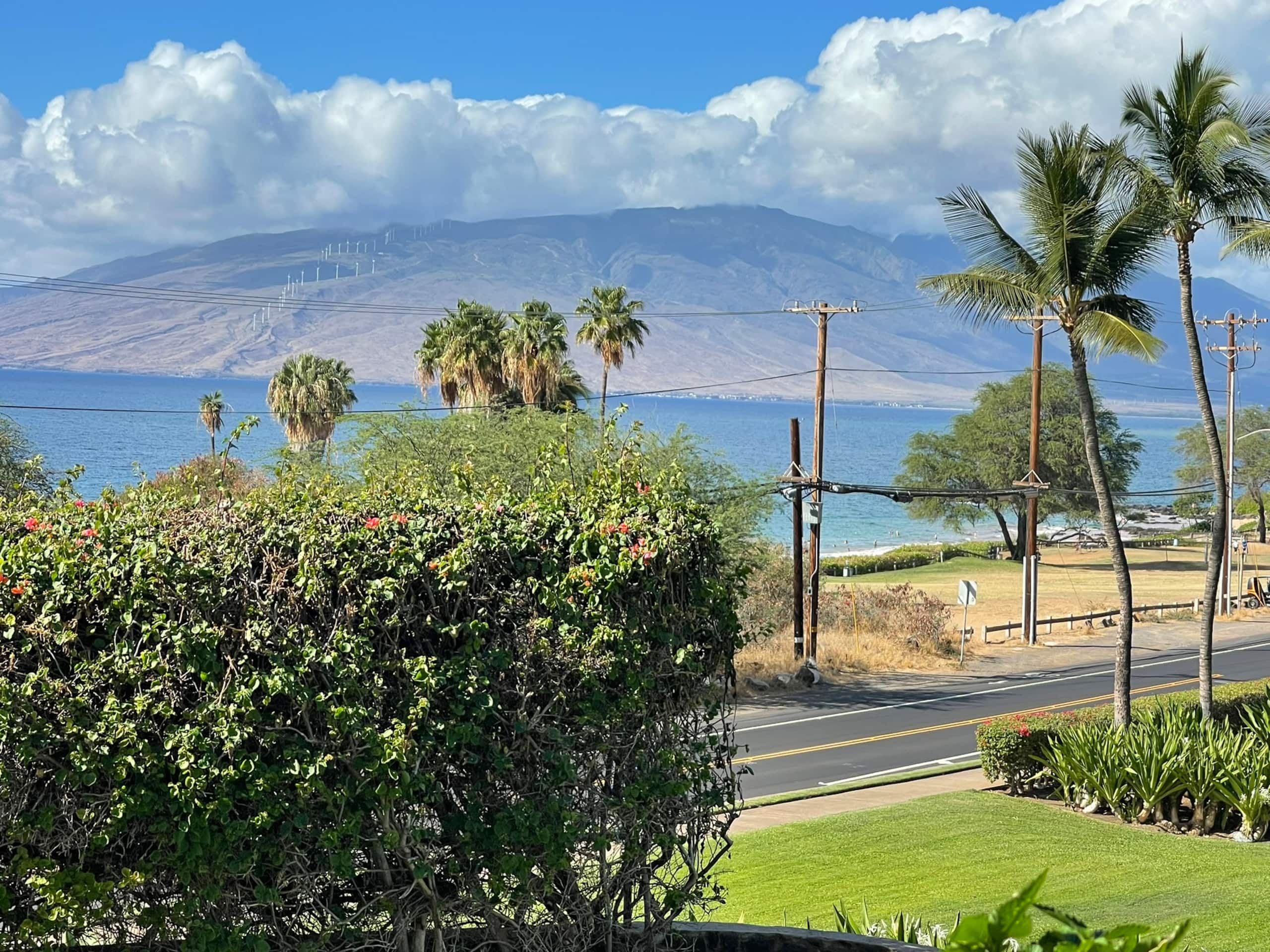 Condo in Kihei · ★5.0 · 1 bedroom · 2 beds · 2 baths - Image 37