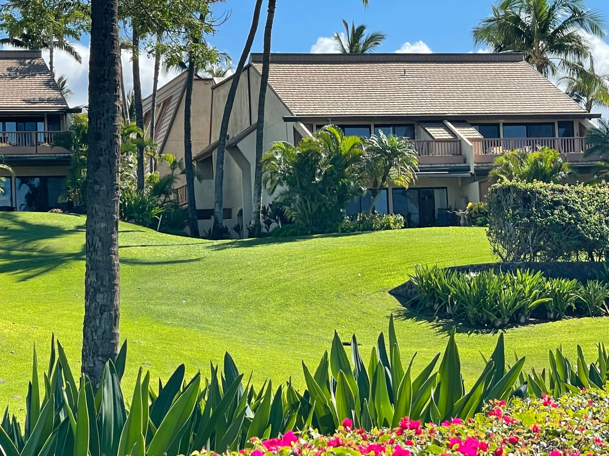 Condo in Kihei · ★5.0 · 1 bedroom · 2 beds · 2 baths - Image 49