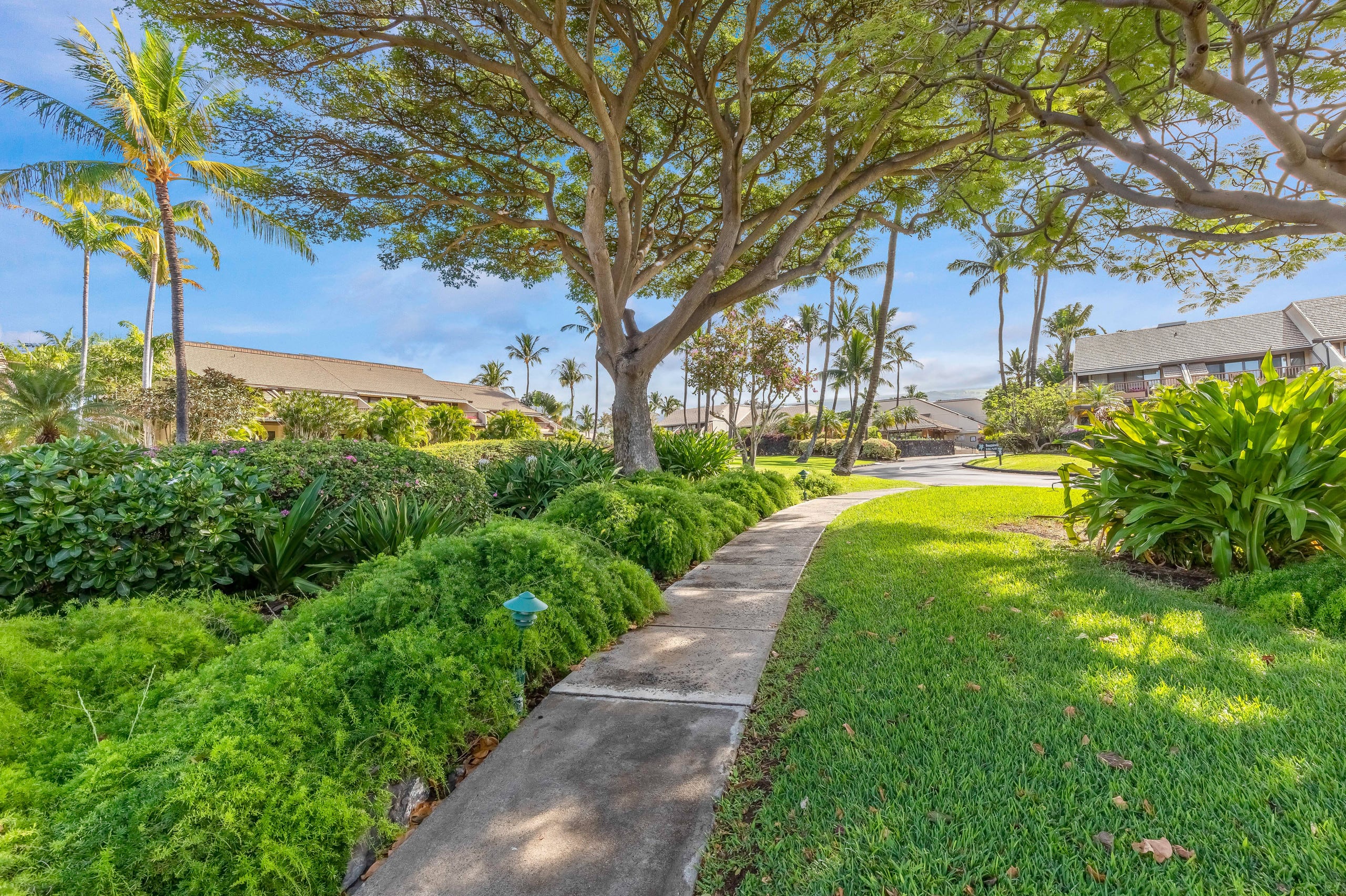 Condo in Kihei · ★5.0 · 1 bedroom · 2 beds · 2 baths - Image 69