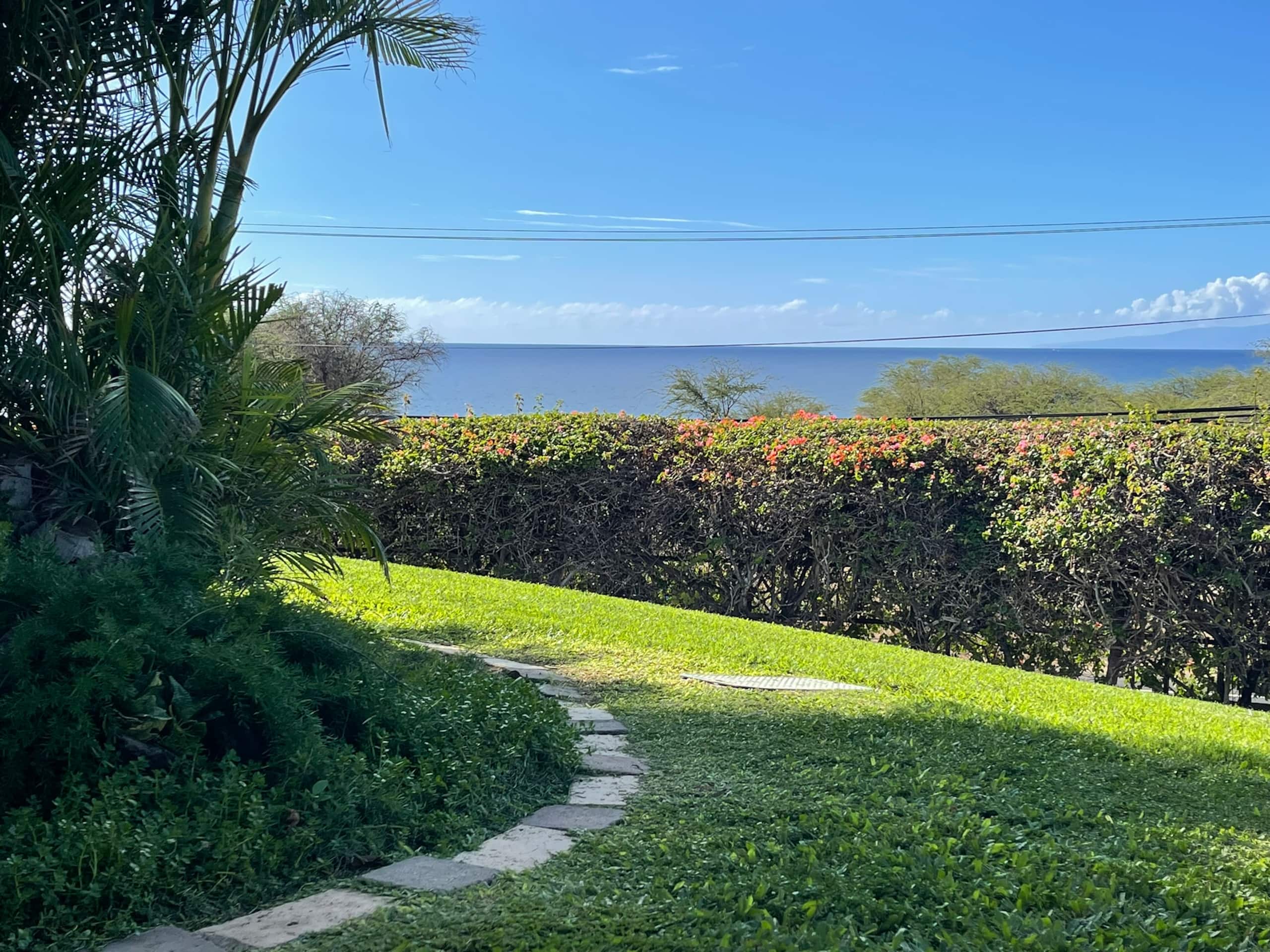 Condo in Kihei · ★5.0 · 1 bedroom · 2 beds · 2 baths - Image 40