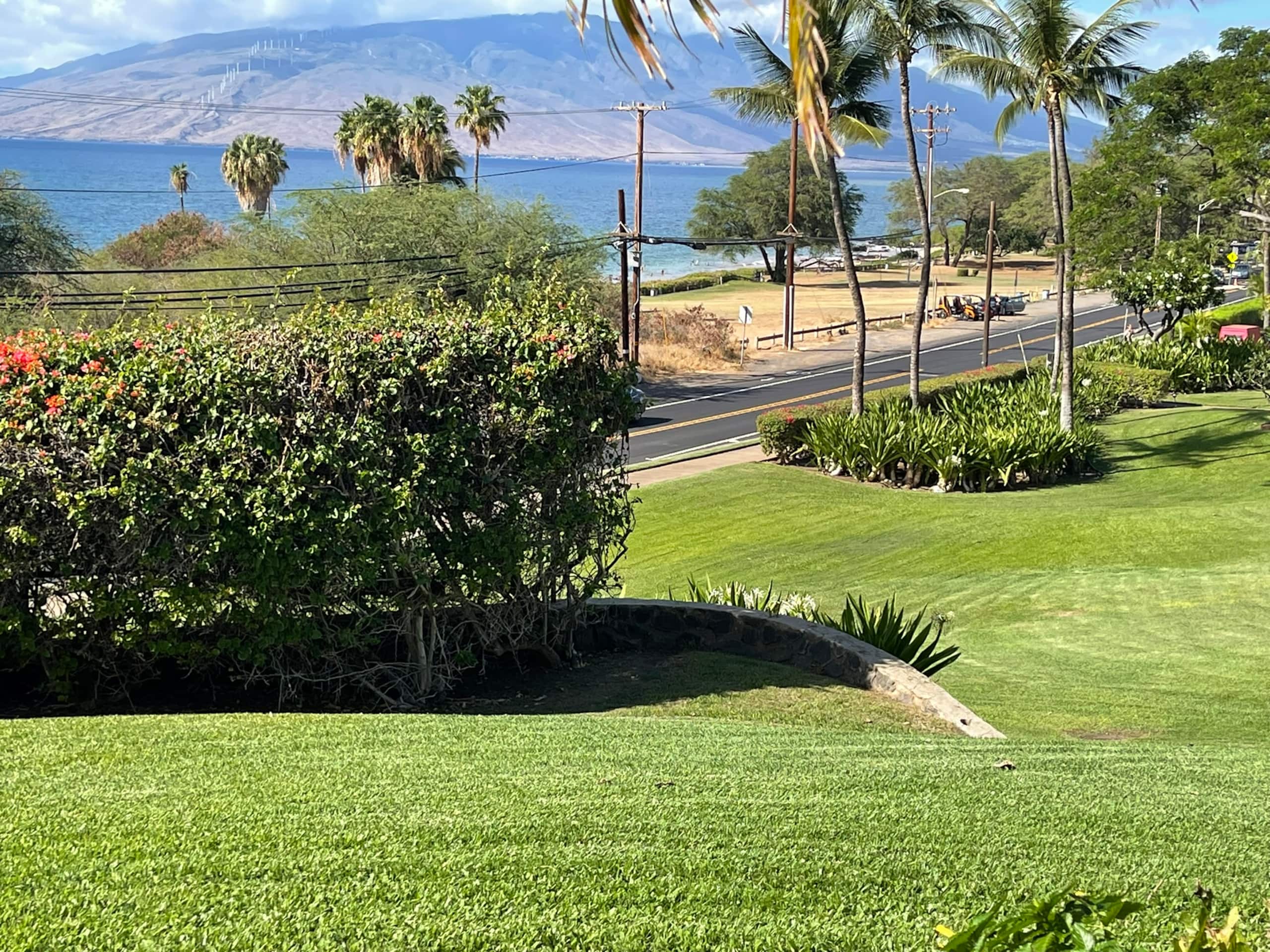 Condo in Kihei · ★5.0 · 1 bedroom · 2 beds · 2 baths - Image 39
