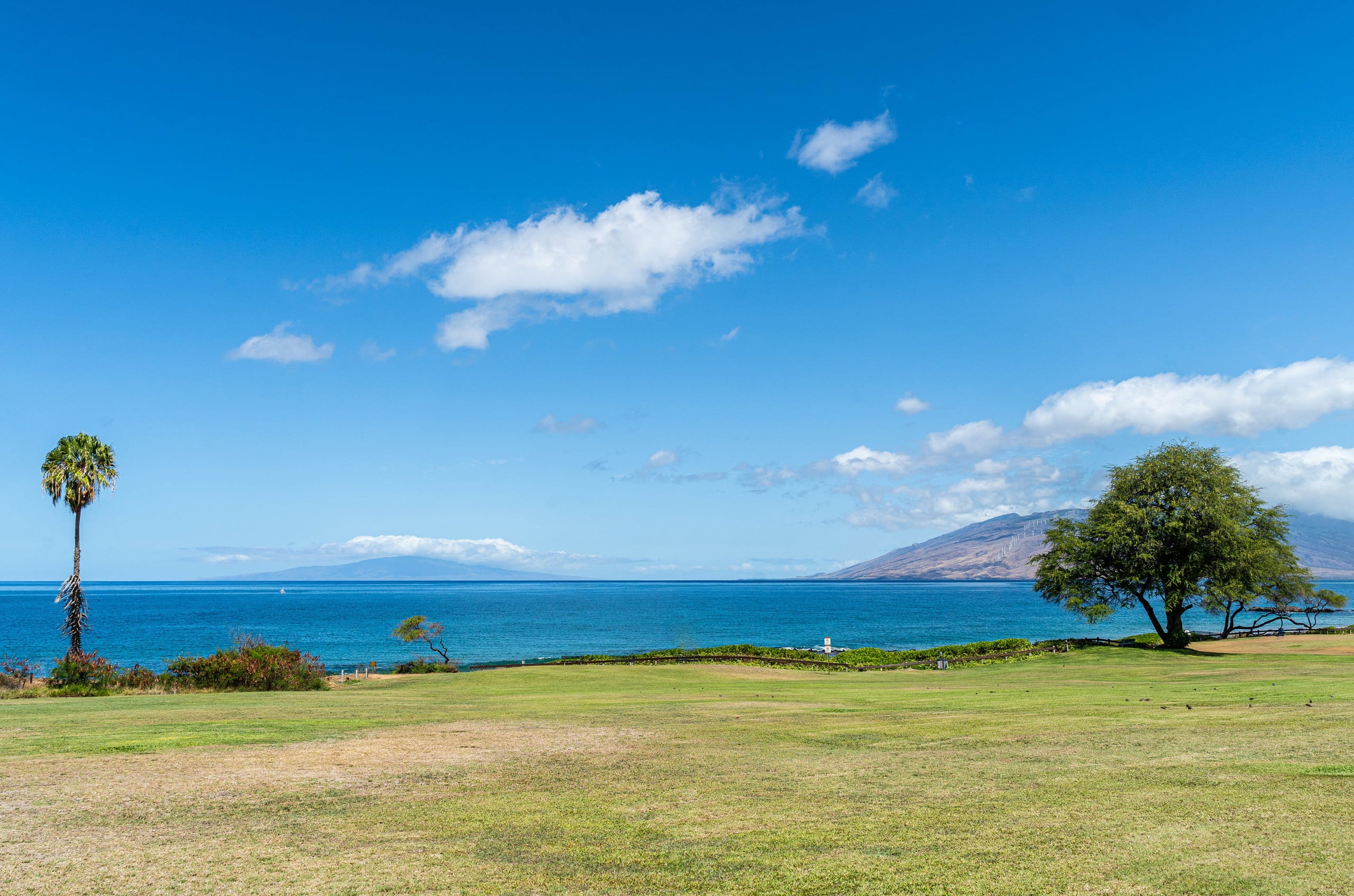Condo in Kihei · ★5.0 · 1 bedroom · 2 beds · 2 baths - Image 78