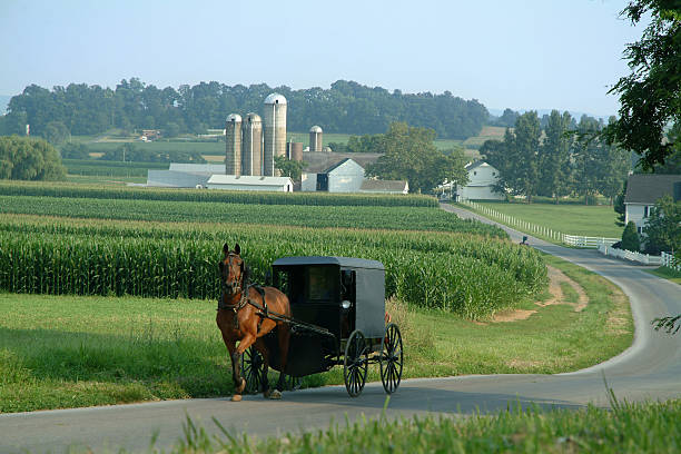 A horse-drawn carriage is positioned alongside a country road. Lush green cornfields extend toward scenic farm buildings, including silos, set against a backdrop of gentle hills. The tranquil landscape reflects the rural charm of the area, offering a glimpse into the local way of life.