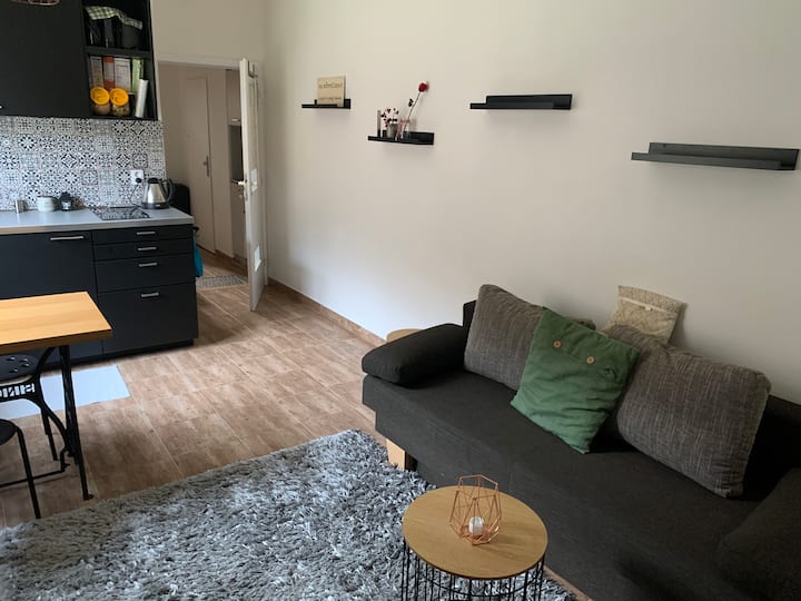 Cozy Flat For Your Perfect Stay! - Tšekki