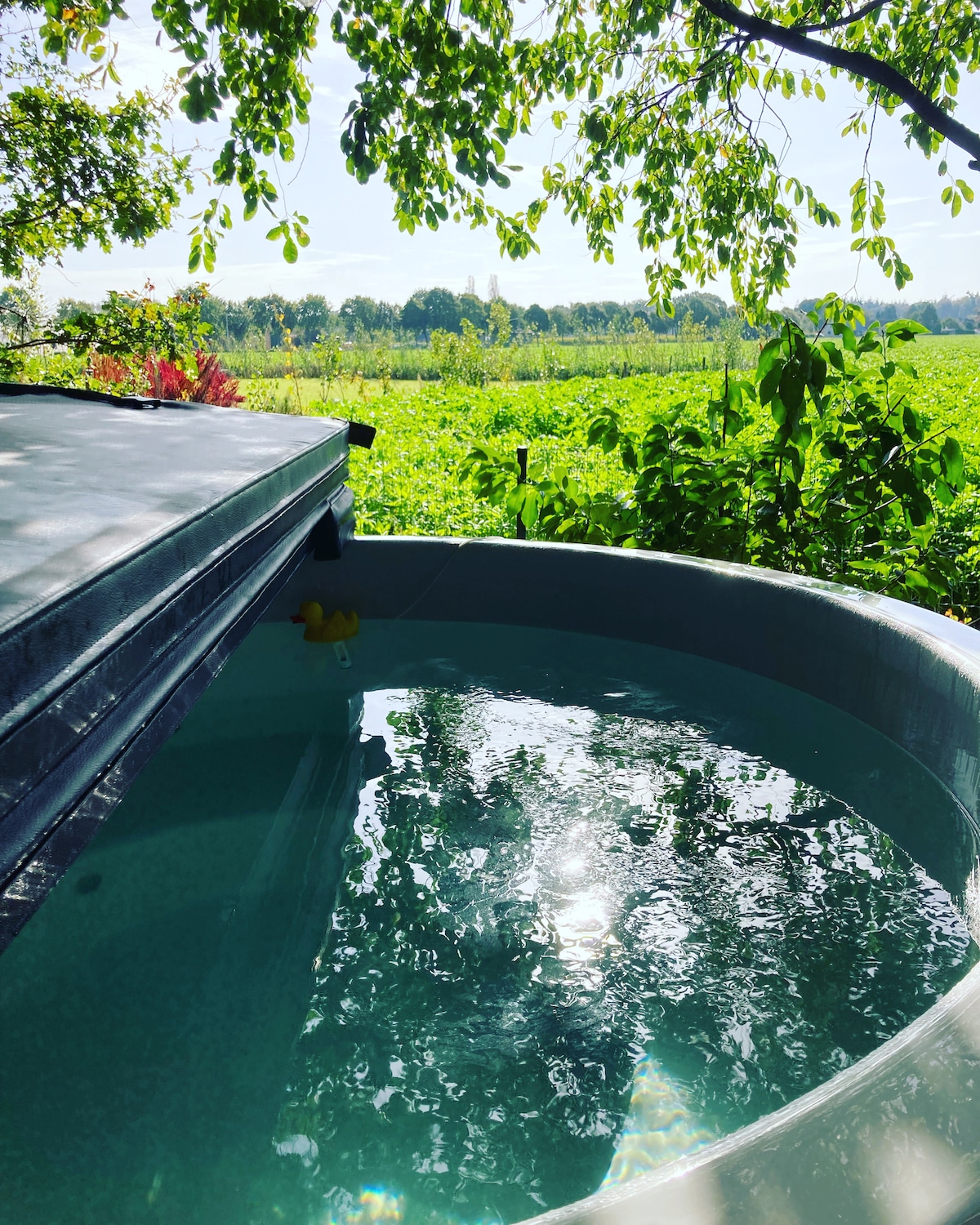 A hot tub is positioned under leafy trees, with a view of lush green fields in the distance. Sunlight reflects off the water's surface, creating a serene atmosphere. A small yellow rubber duck rests on the edge, adding a playful touch to the setting.