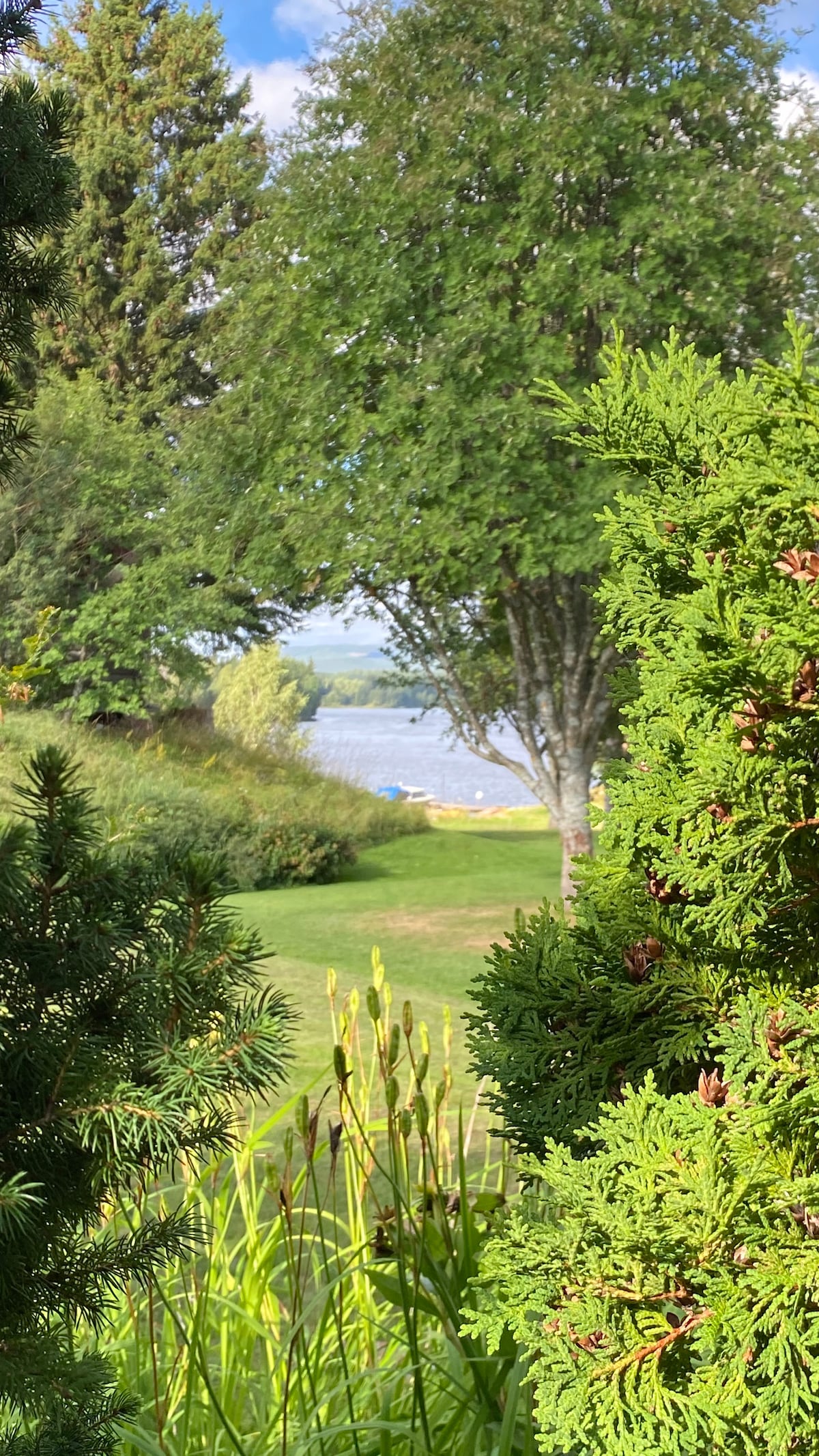 A serene view of Dalälven is framed by lush greenery. Tall trees and bushes create a natural border, leading to a grassy area that gently descends towards the water. The calm river can be seen in the background, inviting relaxation and connection with nature.