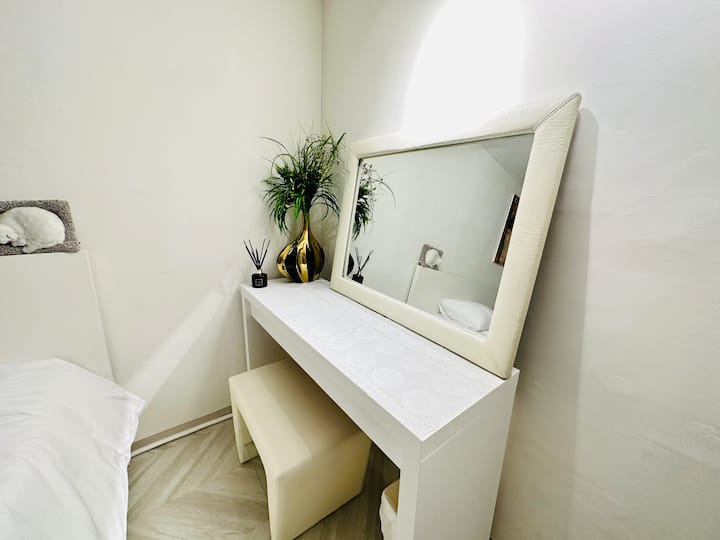 This is the dressing table in the room of the Mono space.
Dryer is provided in the dressing table dresser.