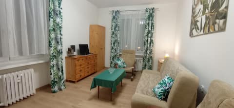 Top performing Airbnb: Nice apartment by the park in Łazarz