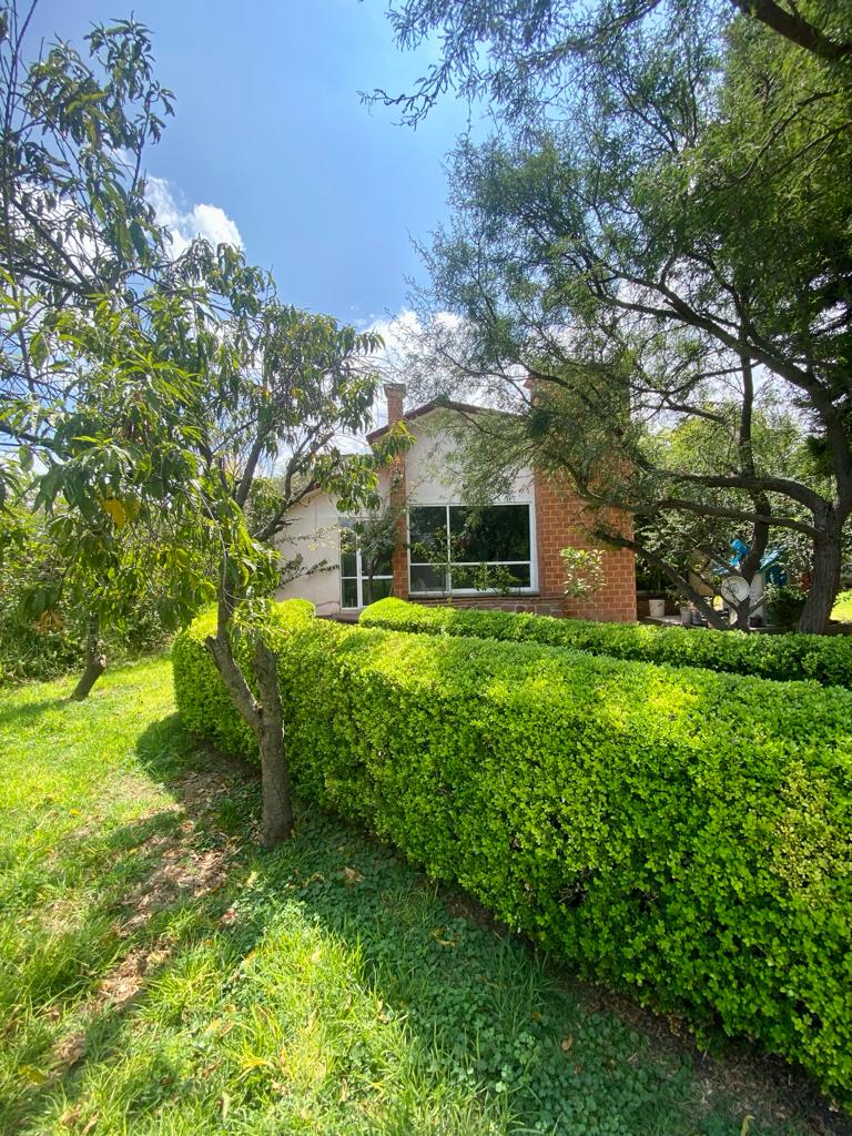 A charming house is nestled among lush greenery, featuring large windows that invite natural light. Neatly trimmed hedges frame the front yard, which is accented by surrounding trees, creating a serene outdoor environment for relaxation.