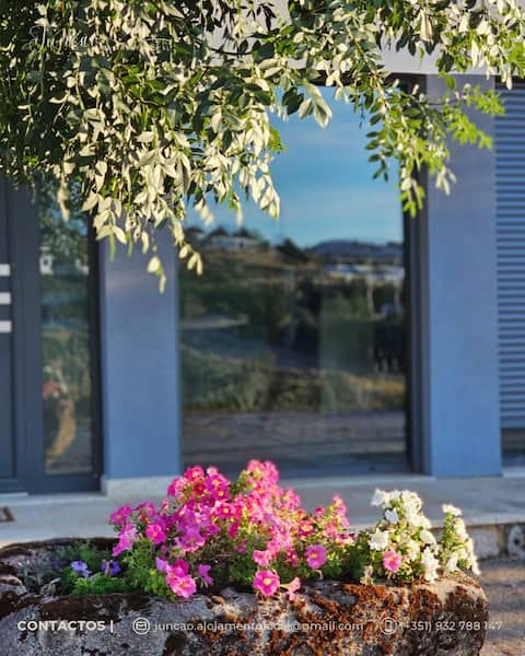 Junction Local Accommodation