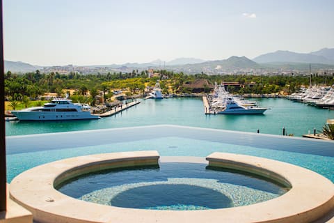 Shark Bay Lemon - La Playita, Cabo