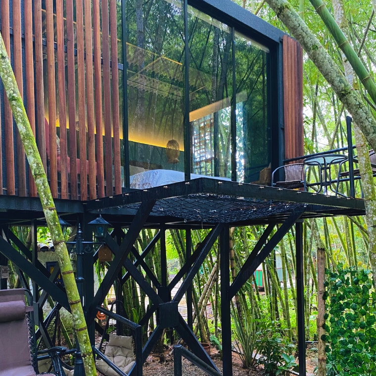 A modern glamping structure is elevated on a sturdy framework, surrounded by tall bamboo. Large glass panels allow natural light into the interior while offering views of the lush greenery. A small outdoor seating area features contemporary furniture, creating a space for relaxation.