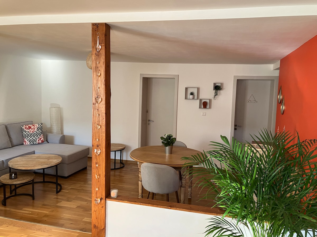 Propriété Airbnb réussie: Apartment "in the Heart of the City" à Mulhouse