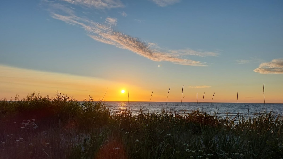 A serene sunset over the ocean is captured, with warm hues blending in the sky. Silhouettes of tall grass and greenery frame the scene, creating a natural border. The calm water reflects the amber tones of dusk, providing a tranquil coastal view.