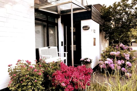 Oasis between metropolises