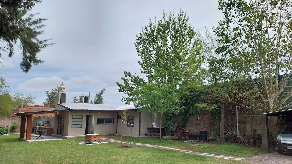 A single-story house is surrounded by lush greenery, featuring a well-kept lawn. Large trees provide shade near a patio area with a barbecue grill. The exterior showcases a mix of stone and stucco, with extensive windows allowing light to enter.